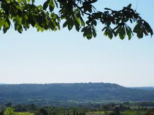 Lacoste Kabelka